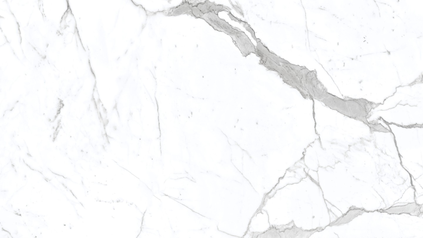 60x120 VIZON CARRARA POLISHED