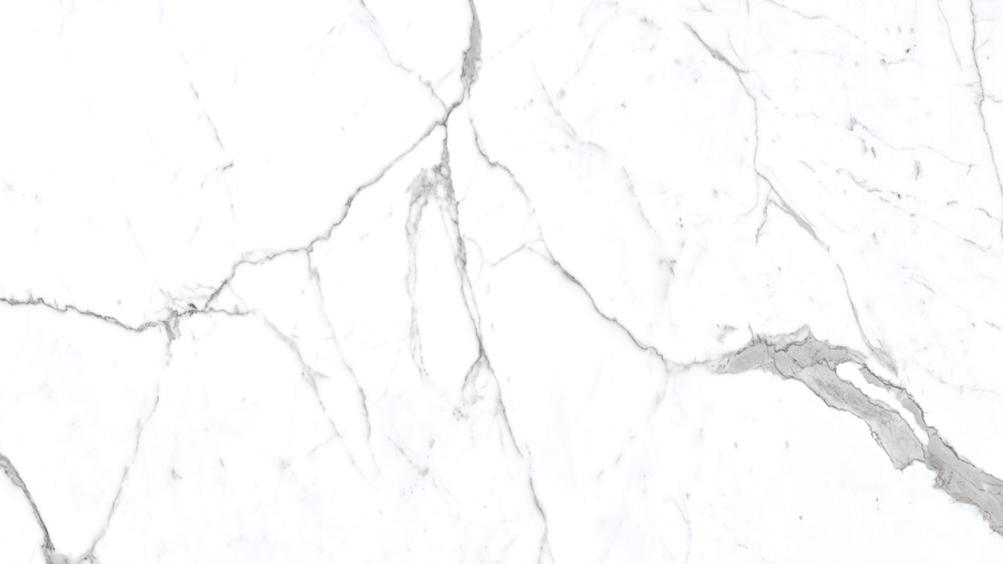 60x120 VIZON CARRARA POLISHED
