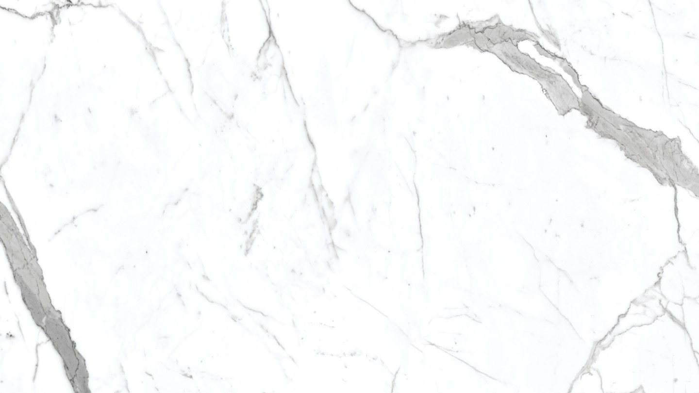60x120 VIZON CARRARA POLISHED