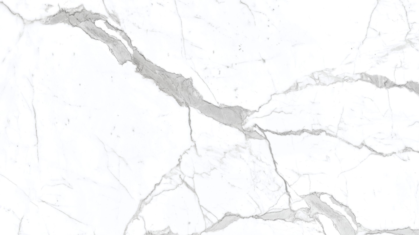 60x120 VIZON CARRARA POLISHED