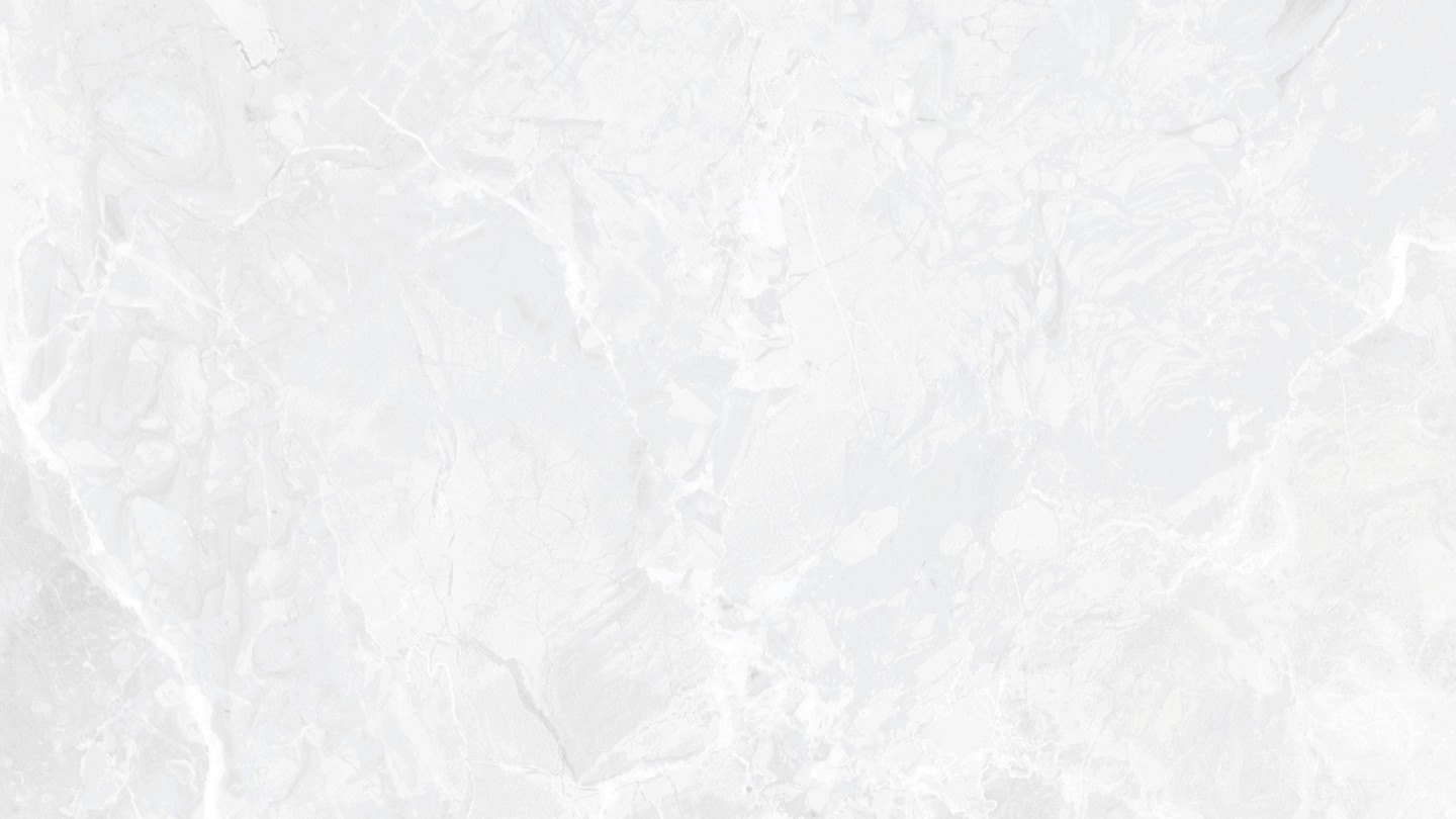 60x120 EARTHSTONE WHITE POLISHED
