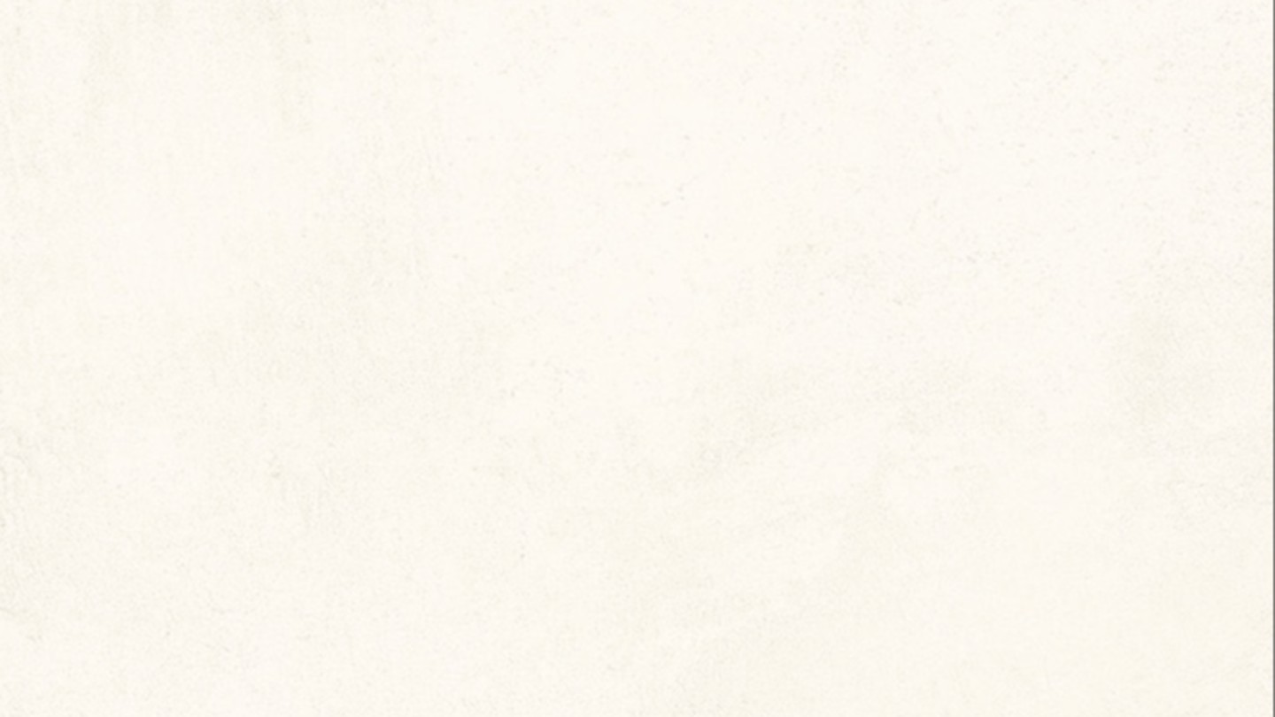 30X60 ODIN WHITE MATT