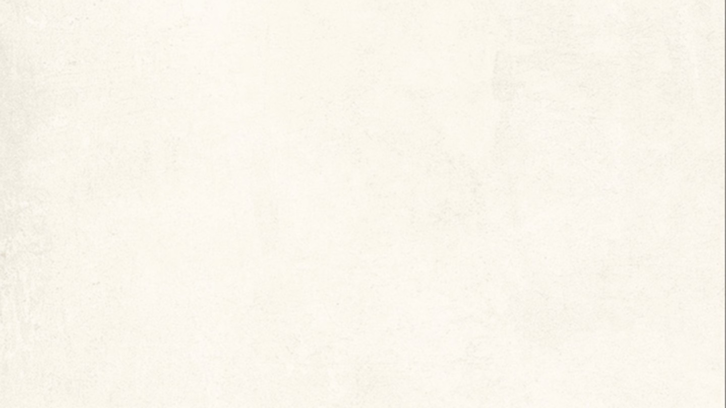 30X60 ODIN WHITE MATT