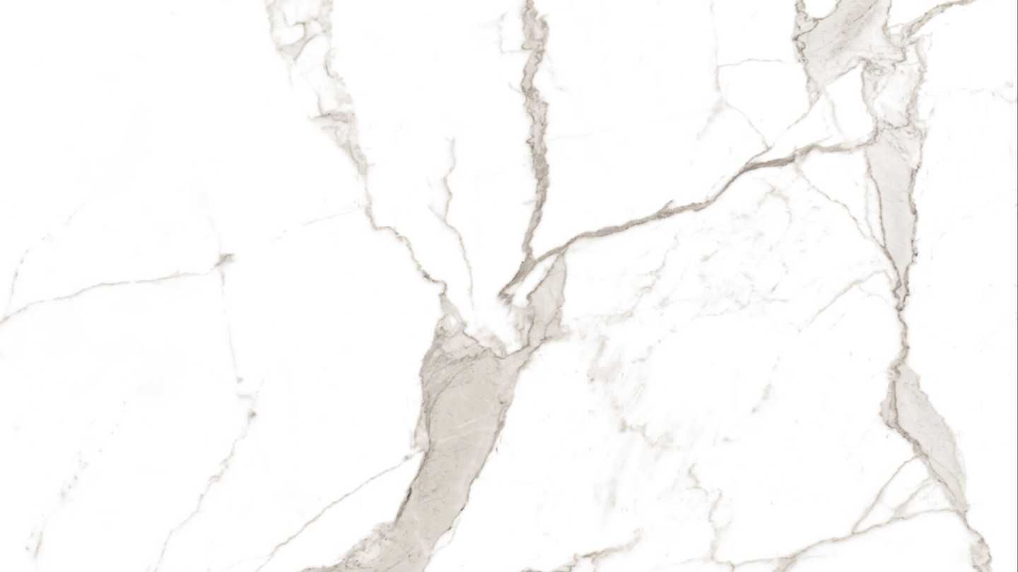 60X60 VIZON CARRARA POLISHED