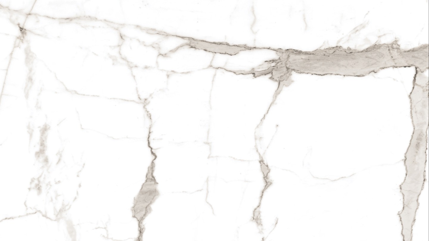 60X60 VIZON CARRARA POLISHED